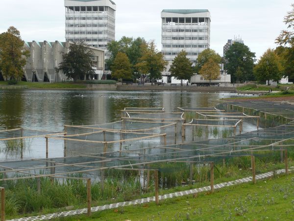 Der rundum erneuerte Rathaussee erhöht die Attraktivität der Innenstadt