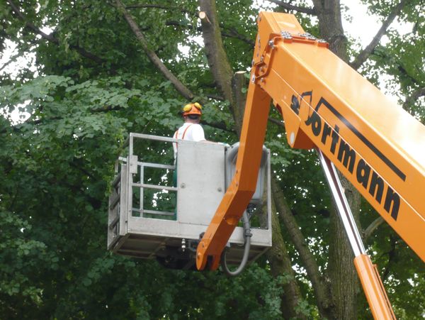 Arbeiten am Eduard-Weitsch-Weg