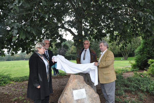 Marler Baum und Gedenkstein in Bitterfeld-Wolfen