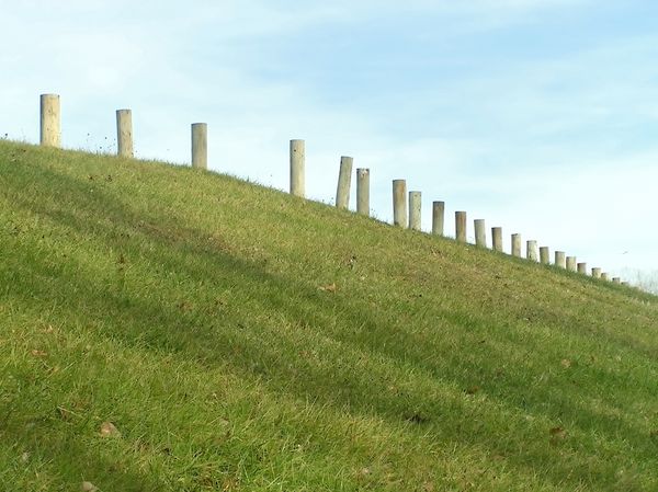 Der Rat der Stadt Marl hat sich dafür ausgesprochen, für den Hochwasserschutz an der Lippe keinen neuen Deiche zu errichten